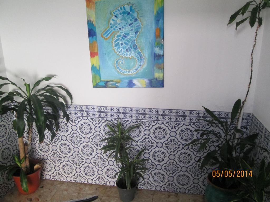 Guest House Pacifica Quarteira Bagian luar foto